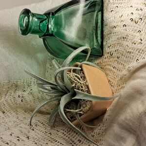 Green vase/bottle NWOT